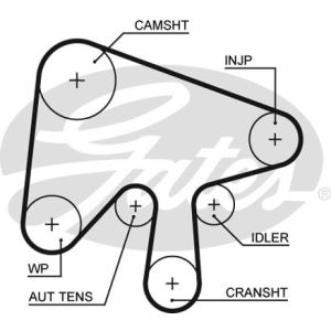 Cam / Timing Belt