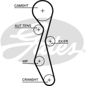 Cam / Timing Belt