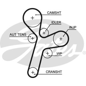 Cam / Timing Belt