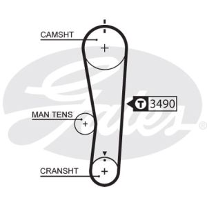 Cam / Timing Belt