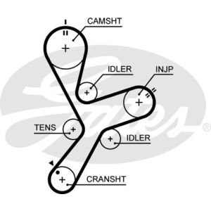 Cam / Timing Belt