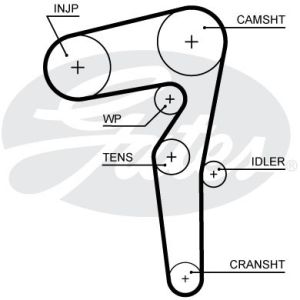 Cam / Timing Belt