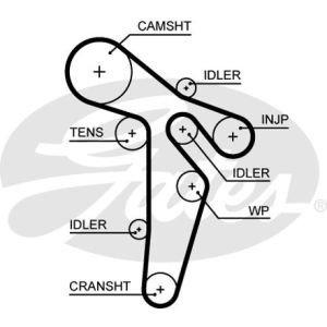 Cam / Timing Belt