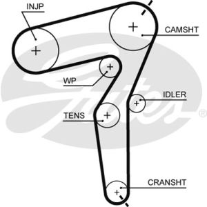 Cam / Timing Belt