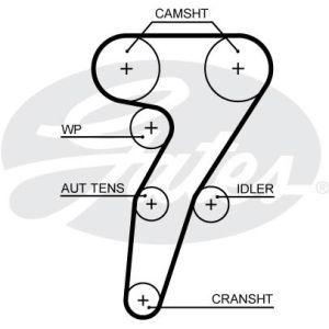 Cam / Timing Belt