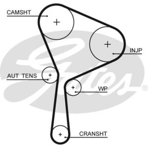 Cam / Timing Belt