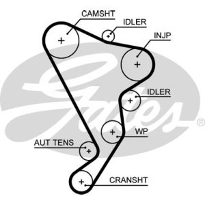 Cam / Timing Belt