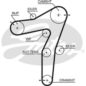 Cam / Timing Belt