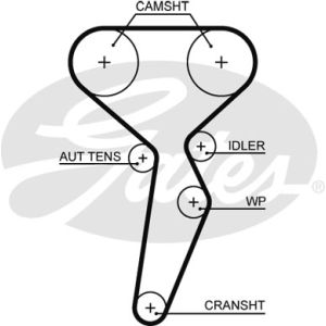 Cam / Timing Belt