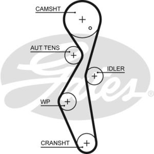 Cam / Timing Belt