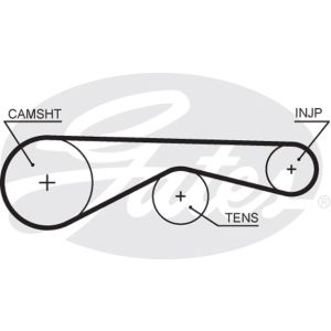 Cam / Timing Belt