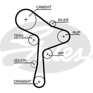 Cam / Timing Belt