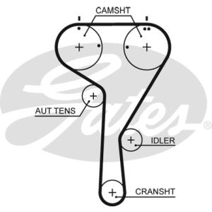 Cam / Timing Belt