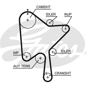 Cam / Timing Belt