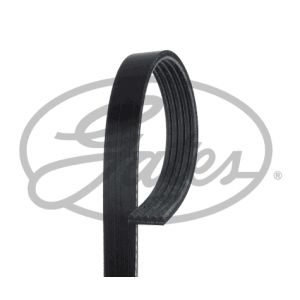 Auxillary Drive Poly V Belt - 5PK1005