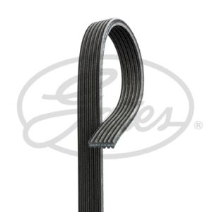 Auxillary Drive Poly V Belt - 6DPK1195 D/S)