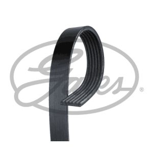 Auxillary Drive Poly V Belt - 6PK1000