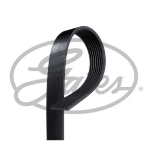 Auxillary Drive Poly V Belt - 6PK893