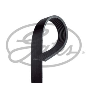 Auxillary Drive Poly V Belt - 7PK1020