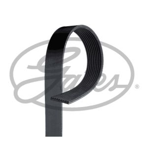 Auxillary Drive Poly V Belt - 9PK2250