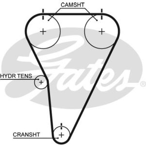 Cam / Timing Belt