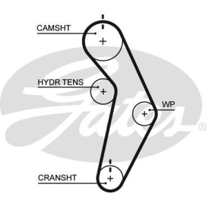 Cam / Timing Belt