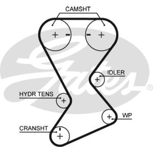 Cam / Timing Belt