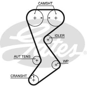 Cam / Timing Belt