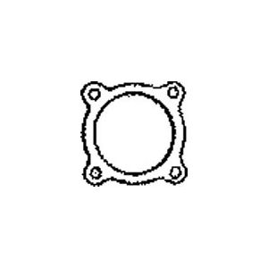 Exhaust Gasket/Seal