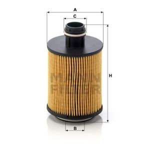 Oil Filter - Insert