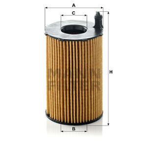 Oil Filter - Insert