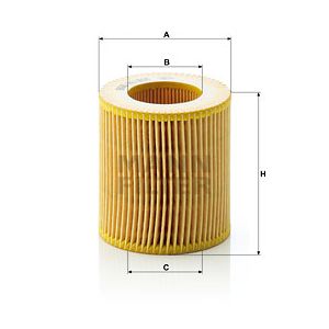 Oil Filter - Insert