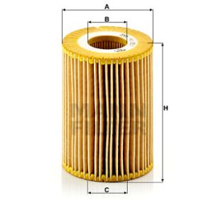 Oil Filter - Insert