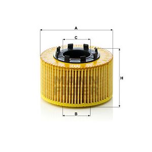 Oil Filter - Insert