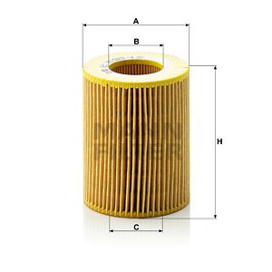 Oil Filter - Insert