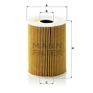 Oil Filter - Insert