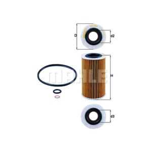 Oil Filter - Insert