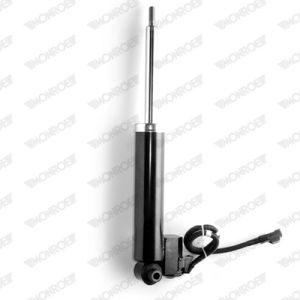 Rear Shock Absorber