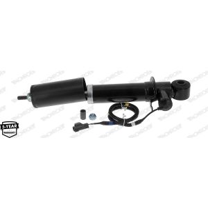 Rear Shock Absorber