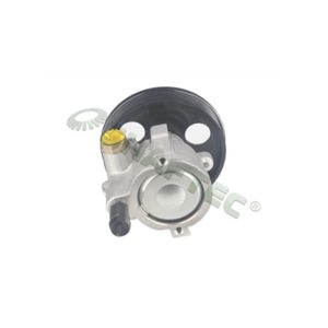 Steering System Hydraulic Pump