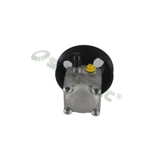 Steering System Hydraulic Pump