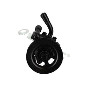 Steering System Hydraulic Pump