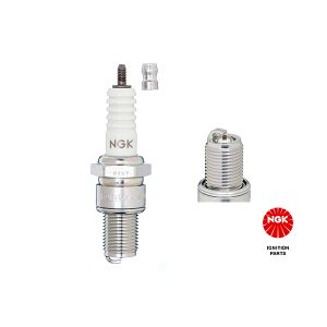 Spark Plug - BCPR5EIX