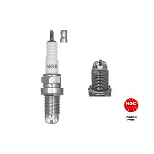 Spark Plug - BCPR6EIX