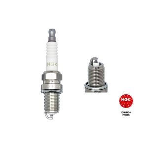 Spark Plug - BCPR6EP-N-8