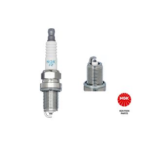 Spark Plug - BCPR7ES-11