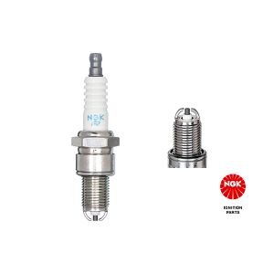 Spark Plug - BPR8EIX