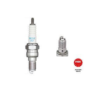 Spark Plug - DCPR7E-N-10