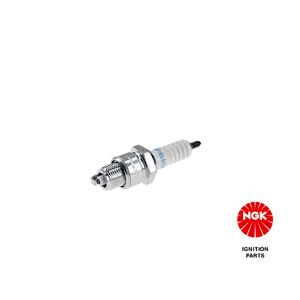 Spark Plug - DILFR6J11