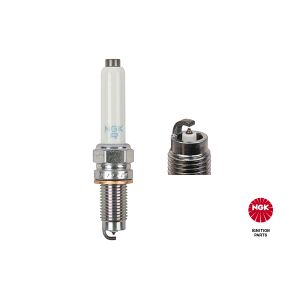 Spark Plug - PZKER7B8EGS